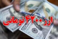 فسادهای تخصیص ارز ترجیحی با اقدامات انقلابی و نظارت دولت قابل رفع است